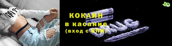 стаф Арсеньев