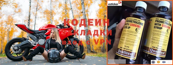 стаф Арсеньев