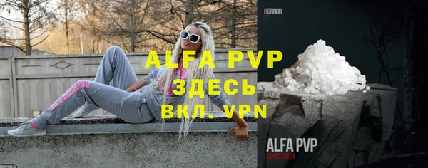 стаф Арсеньев