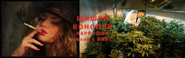 стаф Арсеньев
