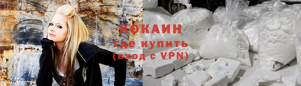 стаф Арсеньев