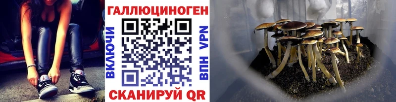 МЕГА маркетплейс  Островной  Галлюциногенные грибы Psilocybe 